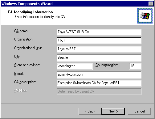 Windows Components Wizard - CA Identifying Information